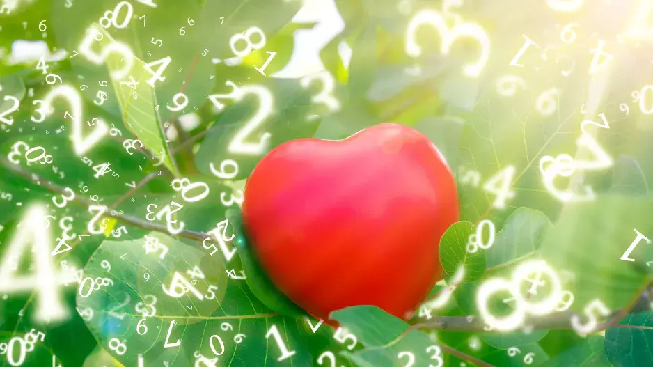 Červenec 2024 podle numerologie: Měsíc s vibrací čísla šest nabídne zklidnění, důležité je přijímat změny, které přijdou 