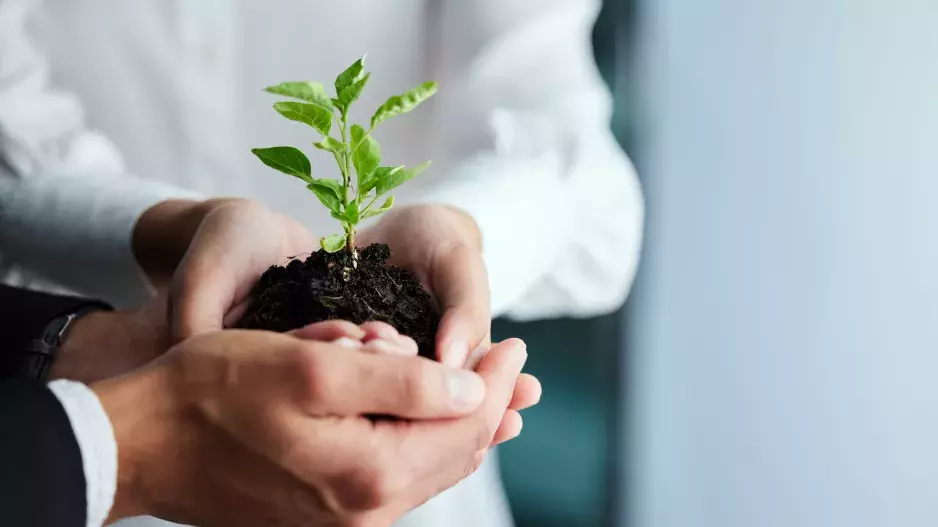 Malý krok pro nás, velký krok pro udržitelnost naší planety: Ekologické projekty, které pomáhají měnit svět k lepšímu