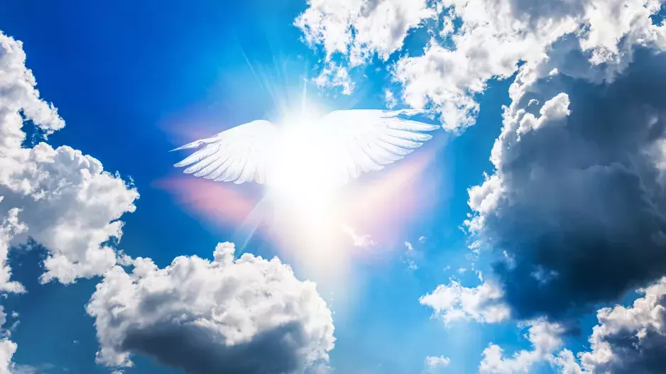 Andělé otevřou nové cesty dvěma znamením zvěrokruhu: Tito jedinci najdou východisko z potíží