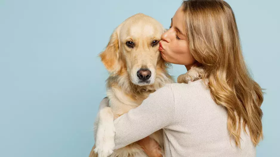 Kvíz: Poznáte nejoblíbenější psí plemena podle jediné fotografie? Testem by měl projít každý Čech