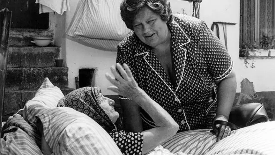 Kvíz: Jak dobře znáte letní kultovní komedii Slunce, seno. Je to už 40 let, kdy jsme se s "Keliškou" setkali poprvé 