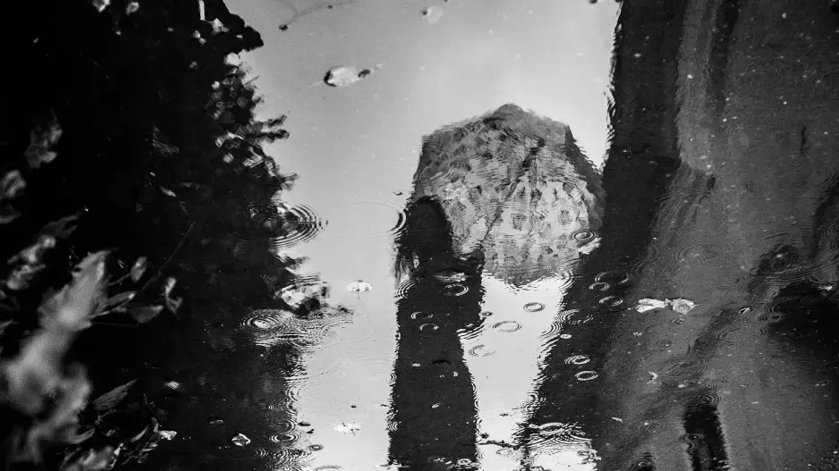 Zjistěte, jak vysoká je vaše emoční inteligence: Rozhodne, co uvidíte na obrázku jako první