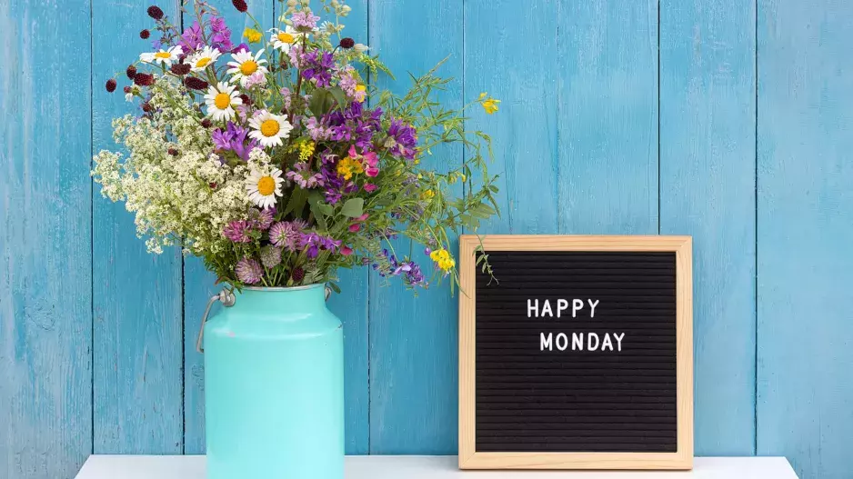 Pondělkům vládne Měsíc: První den v týdnu je návratem do reality, hodí se na meditaci i pro nové začátky