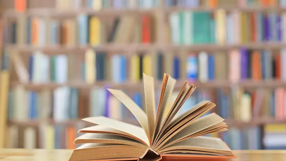 Kvíz: Co si pamatujete z české klasické literatury? Zapátrejte ve znalostech ze základní školy