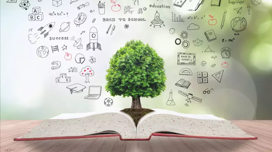 Kvíz: Zpátky do školy. Otestujte své znalosti vlastivědy z prvního stupně základní školy. Zkuste odpovědět bez chyby