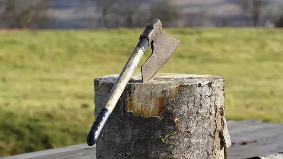 Oblíbený Hitlerův kat Ernst Reindel: V sekání hlav sekerou se vyžíval i za války, sám skončil na popravišti