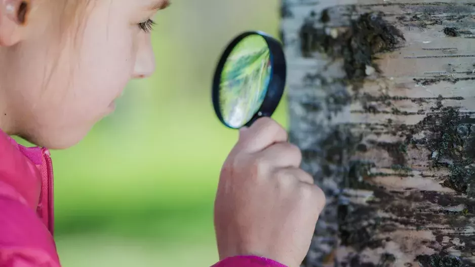 Kvíz: Osvěžte si přírodopis ze základní školy. Některé termíny jste už možná zapomněli, zkuste odpovědět na 100 procent