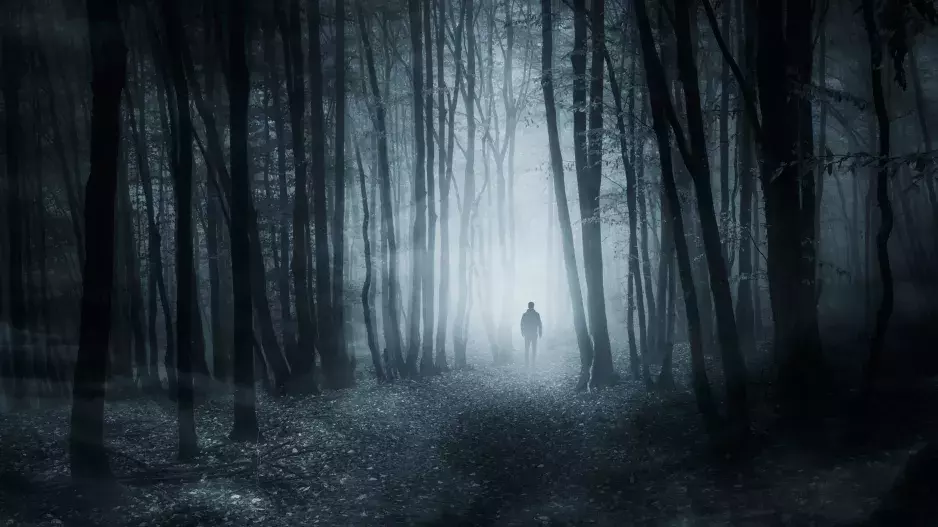 Záhady v Čechách a na Moravě: Mezi přízraky v Branišovském lese budí největší pozornost strom oběšenců. Důkazy nejsou, jen četné legendy 