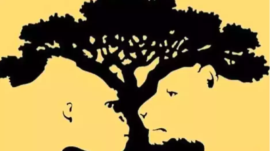 Optická iluze: Co vidíte na obrázku nejdříve, anebo snad vše naráz? Zjistěte, jaké jsou vaše skryté vlastnosti a jak funguje váš mozek 