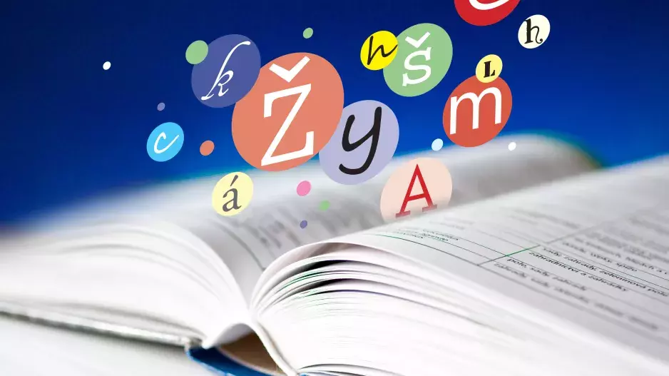 Kvíz: Pamatujete si ještě vyjmenovaná slova? Zkuste oprášit znalosti ze základní školy