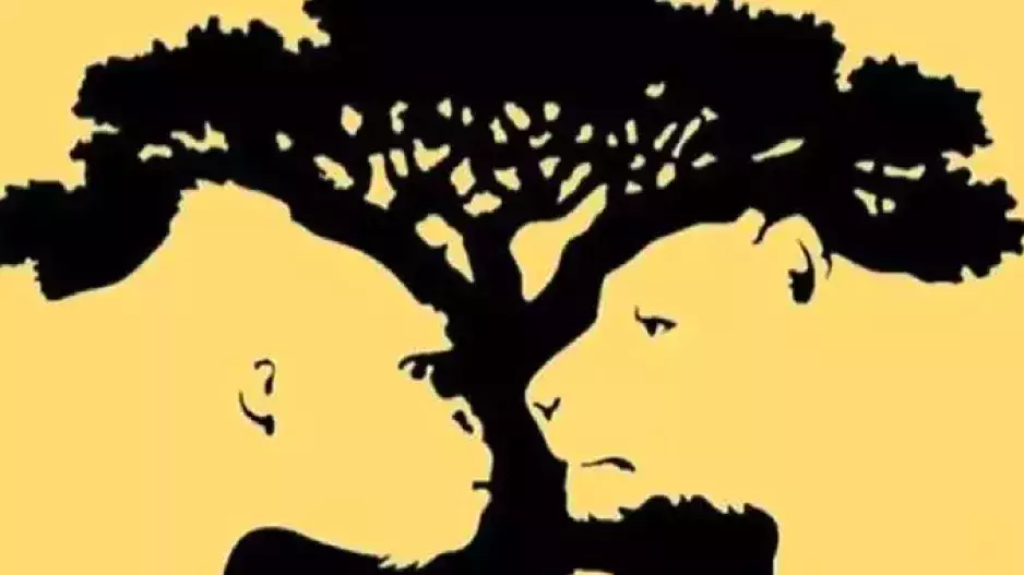 Optická iluze: Pozorně se zadívejte na obrázek. Čeho si všimnete nebo co uvidíte jako první, prozradí, jaký typ osobnosti jste