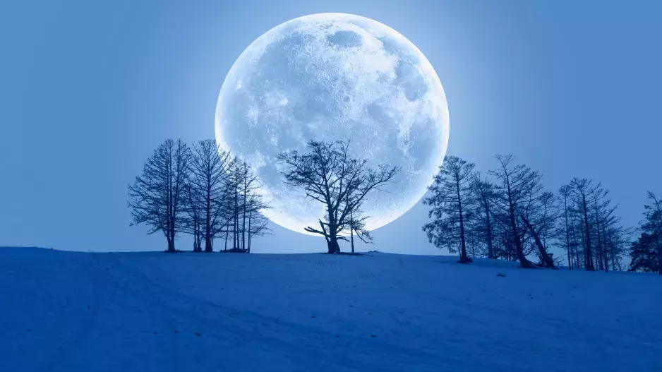 Vlčí úplněk ve znamení Raka přinese sklony k melancholii a sebelítosti. Rodina bude na prvním místě