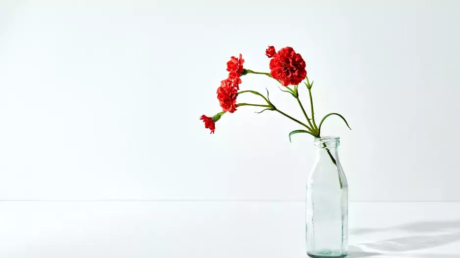 Mezinárodní den žen za socialismu: Slavili především muži, nechyběly rudé karafiáty ani oblíbená Myslivecká