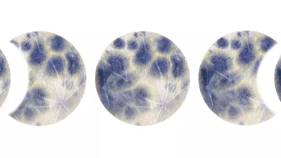 Jak různé fáze Měsíce ovlivňují náladu a energii lidí podle jejich znamení: Berani jsou neklidní při novoluní, úplněk nejvíc cílí na zemská znamení