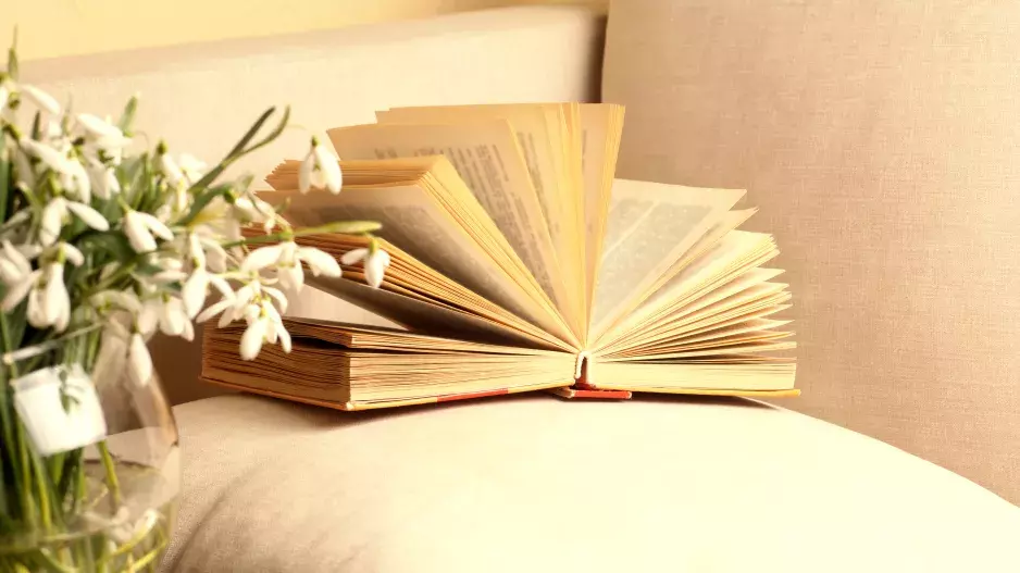 Kvíz: Odhalíte knihu podle její nejznámější věty? Otestujte své literární znalosti a zjistěte, jak dobře poznáte literární díla podle pár slov