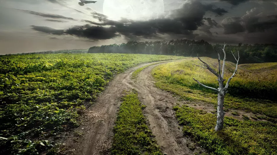 Červencový úplněk je tu: Co od něj čekat, čemu věnovat energii a komu zatočí se životem nejvíce, prozradí astrolog