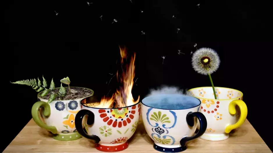 Vaše silné stránky podle živlu: Jste oheň, voda, vzduch, nebo země? Beran je průkopník, Panna vyniká smyslem pro detail