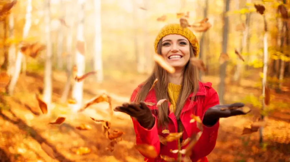 Kvíz: Rozeznáte buk a dub a poznáte podle listů javor? Otázky nejen pro milovníky přírody