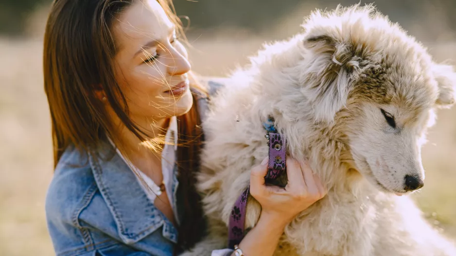 Kvíz: Jeden pták je lepší v hrsti než jiný na střeše. Odhalíte všechny lidové moudrosti, ve kterých figurují zvířata?