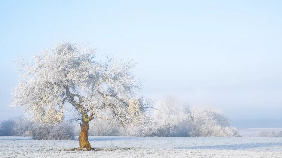 Kvíz: Pamatujete si, co věštili naši předkové? Otestujte se, jestli znáte zimní pranostiky