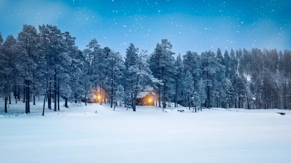 Kvíz: Štědrovečerní jídla našich předků: Troufnete si zjistit, jak byste obstáli u stolu před sto lety?