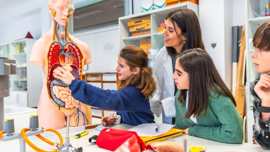 KVÍZ: Znáte dobře lidské tělo? Tušíte, kde hledat třmínek a kde bérec?