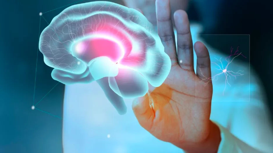 Skrytý tuk ovlivňuje funkci mozku, přitom vůbec nemusíte být obézní. Na vině je uložení tukové tkáně v těle