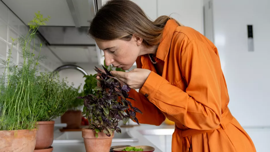 5 bylinek, které by vám v domácnosti neměly chybět. Využijete je nejen na vaření