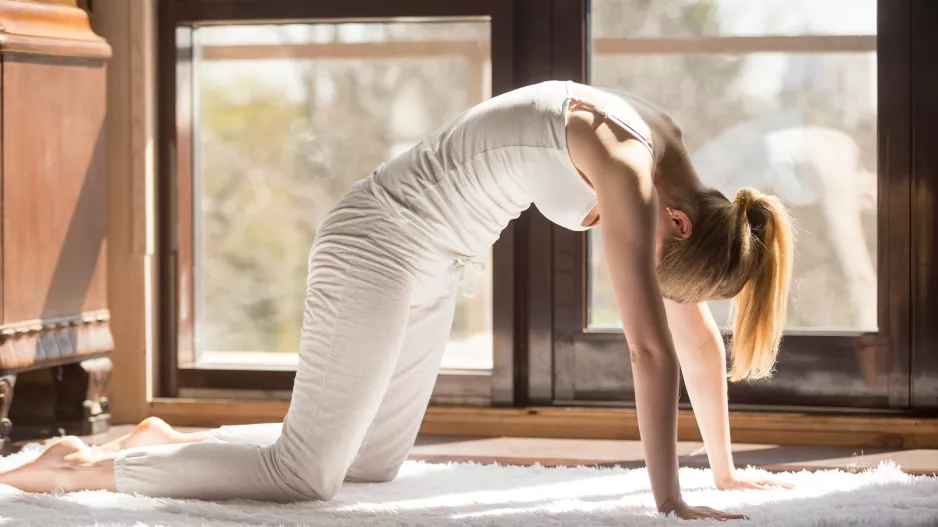 Kočka a Kráva rozhýbou vaši páteř na jedničku. Uvolní ztuhlost mezi lopatkami i v bedrech
