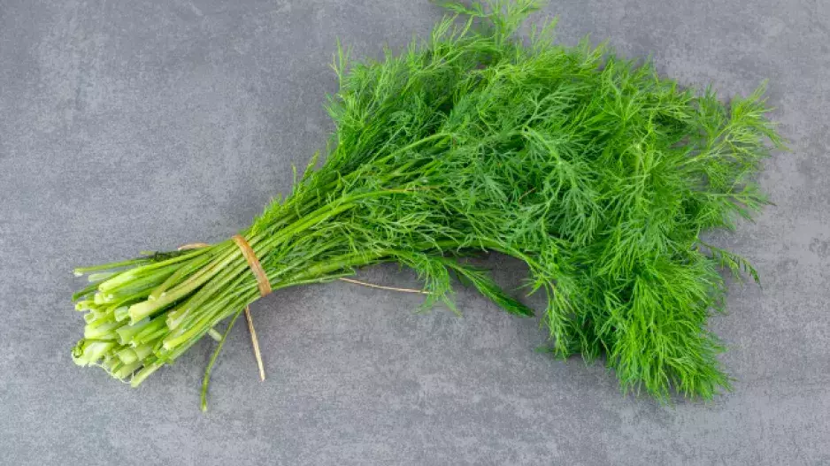 Zelený spojenec krásné postavy a zdravého těla. Tato aromatická rostlina je navíc snadno dostupná