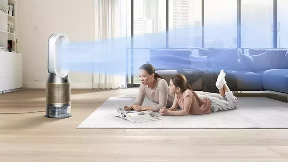 Jak se zbavit roztočů a předejít alergiím? Vyzkoušejte tyto 4 kroky pro čistý a zdravý vzduch v interiéru