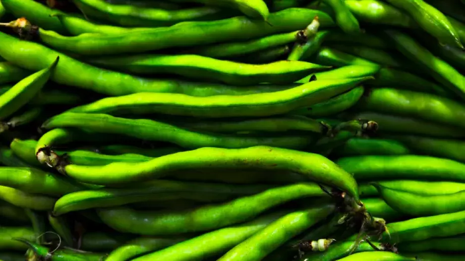 Nesporný král luštěnin chrání srdce a pomáhá při hubnutí. Konzumovat ho můžete vařený i čerstvý