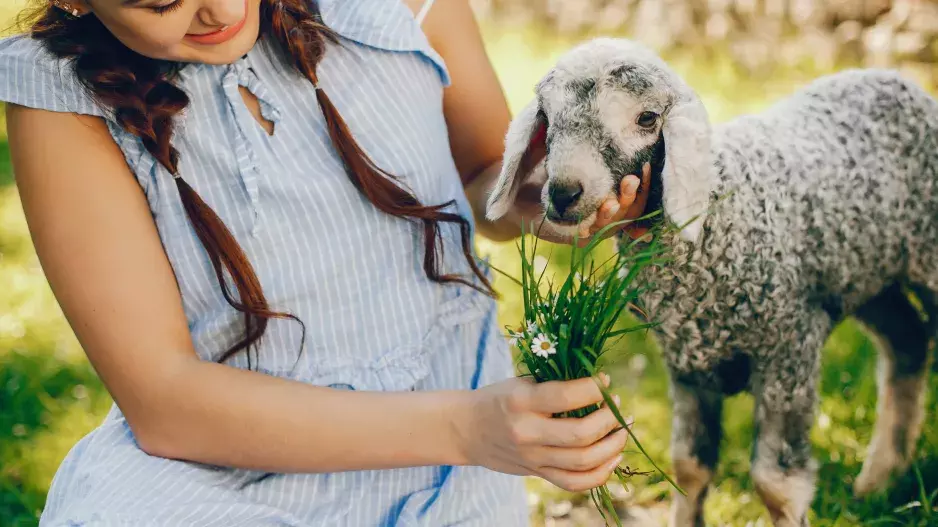 Kvíz: Příroda se konečně probouzí. Připomeňte si hodiny přírodopisu v dnešním kvízu