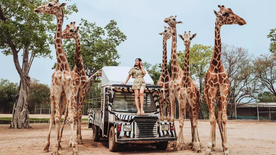 Kvíz.: Znáte ty největší šampiony z říše přírody? Zkuste zvířecí olympiádu 