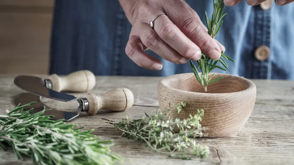 Zázračná bylinka, která se doma neztratí. Zažehná jarní únavu a podpoří bystrou mysl