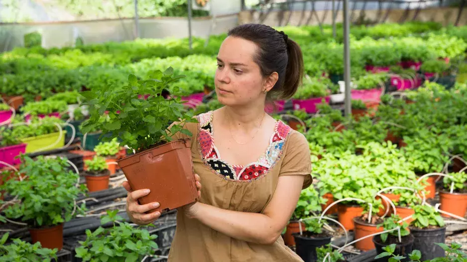 Kvíz: Znáte obsah své kořenky? Zkuste poznat koření tak, jak roste v přírodě