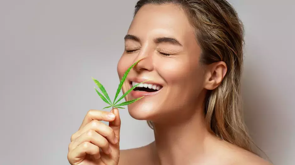 Od semínka po krém: Vše, co byste měli vědět, než si koupíte první CBD kosmetiku