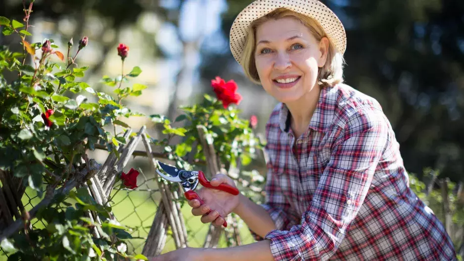 Suchá a povadlá pleť po 50: proč může růžová voda pomoci více než drahá séra