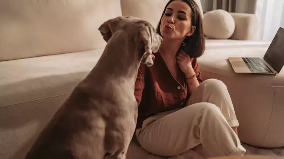 Kvíz: Poznáte psa dřív, než vás stihne poslintat? Otestujte své znalosti v zábavném psím kvízu