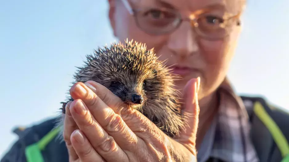 Velký zvířecí kvíz: Dokážete podle fotky poznat, o jakého tvora se jedná?
