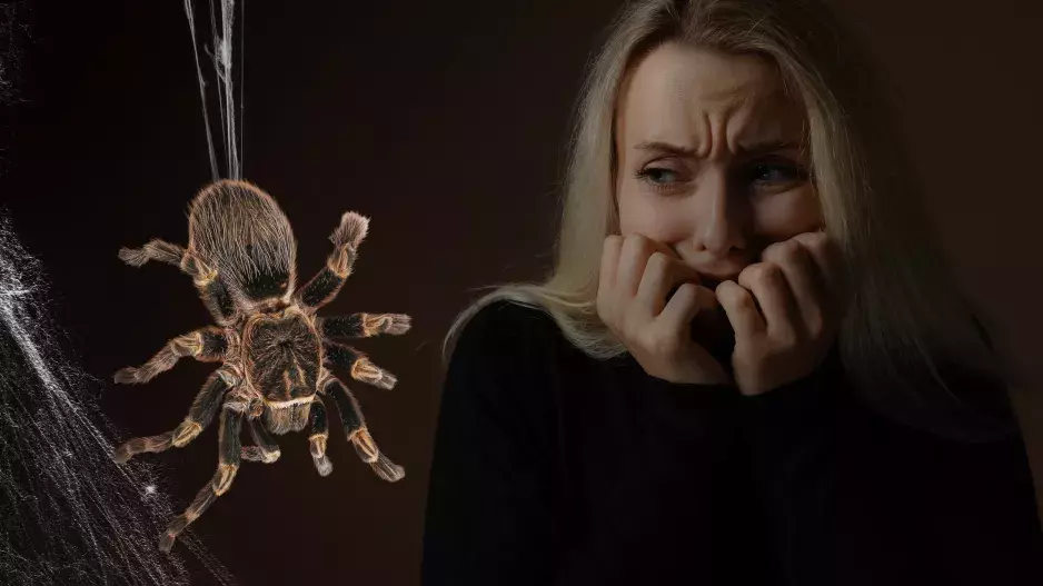 Kvíz: Arachnofobii či klaustrofobii zná asi každý z nás. Dokážete však rozklíčovat další fobie, kterými může někdo trpět?  