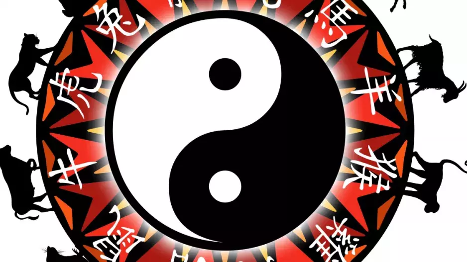 Čínský horoskop: Listopad bude přát Buvolům, Hadům a Zajícům. Tygry, Koně a Kozy nečeká nic dobrého