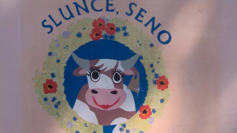 Zajímavosti ze Slunce, seno: Miluna i Blažena nebyly plnoleté, Káju Kroupu hrál číšník a Martina Dejdara málem zatkli! 