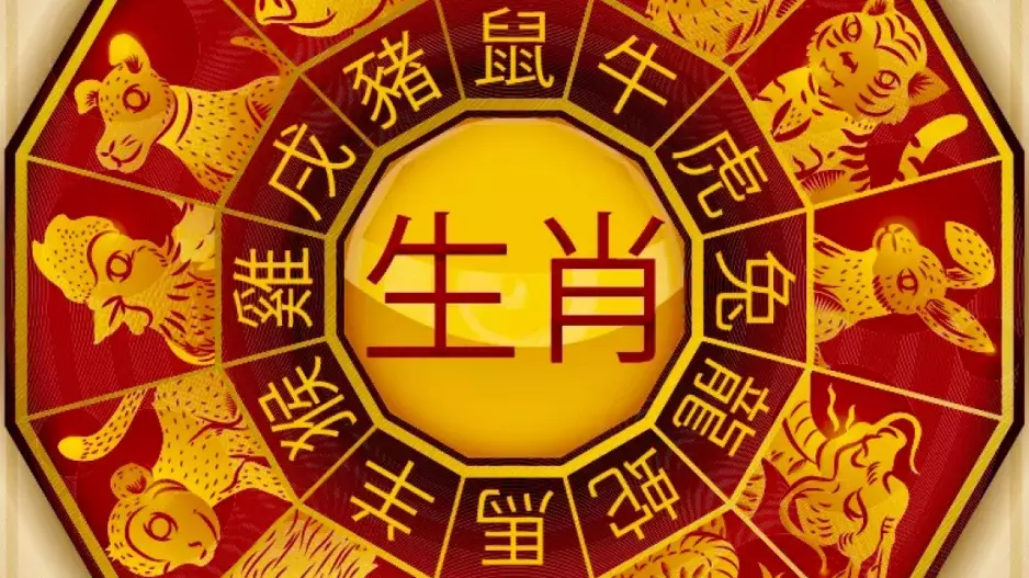 Čínský horoskop: Co vás čeká v říjnu? Had bude žárlit na svého partnera, na Kohouty se usměje štěstí