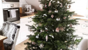 &lt;p&gt;Vánoční stromeček dekorovaný vlastnoručně dělanými perníčky.&amp;nbsp;&lt;/p&gt;
