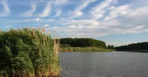 TIP NA VÝLET: Cyklotoulky východními Čechami