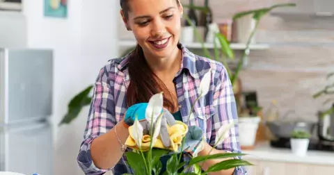 8 rostlin, které vnesou pozitivní energii do vašeho domova: Víte, které čistí prostor, přinášejí blahobyt a lásku?