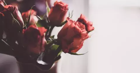 Triky, díky který vám vydrží řezané květiny téměř věčně