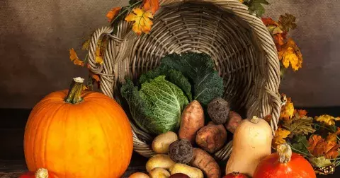 Nejlepší podzimní potraviny pro zdraví: Zařaďte do jídelníčku houby, dýně a květák. Čím prospívají našemu tělu a která z nich vám pomůže zhubnout?