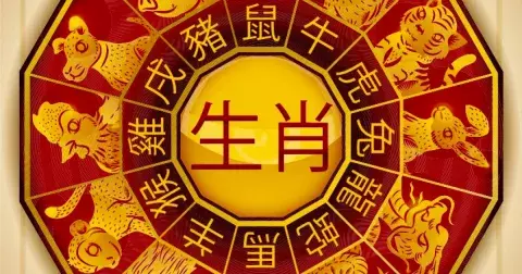 Čínský horoskop na srpen: Opice se zachovají sobecky, Hadi budou mít štěstí. Co čeká vaše znamení zvěrokruhu?